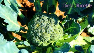 broccoli proprietà benefici valori nutrizionali come pulire cucinare